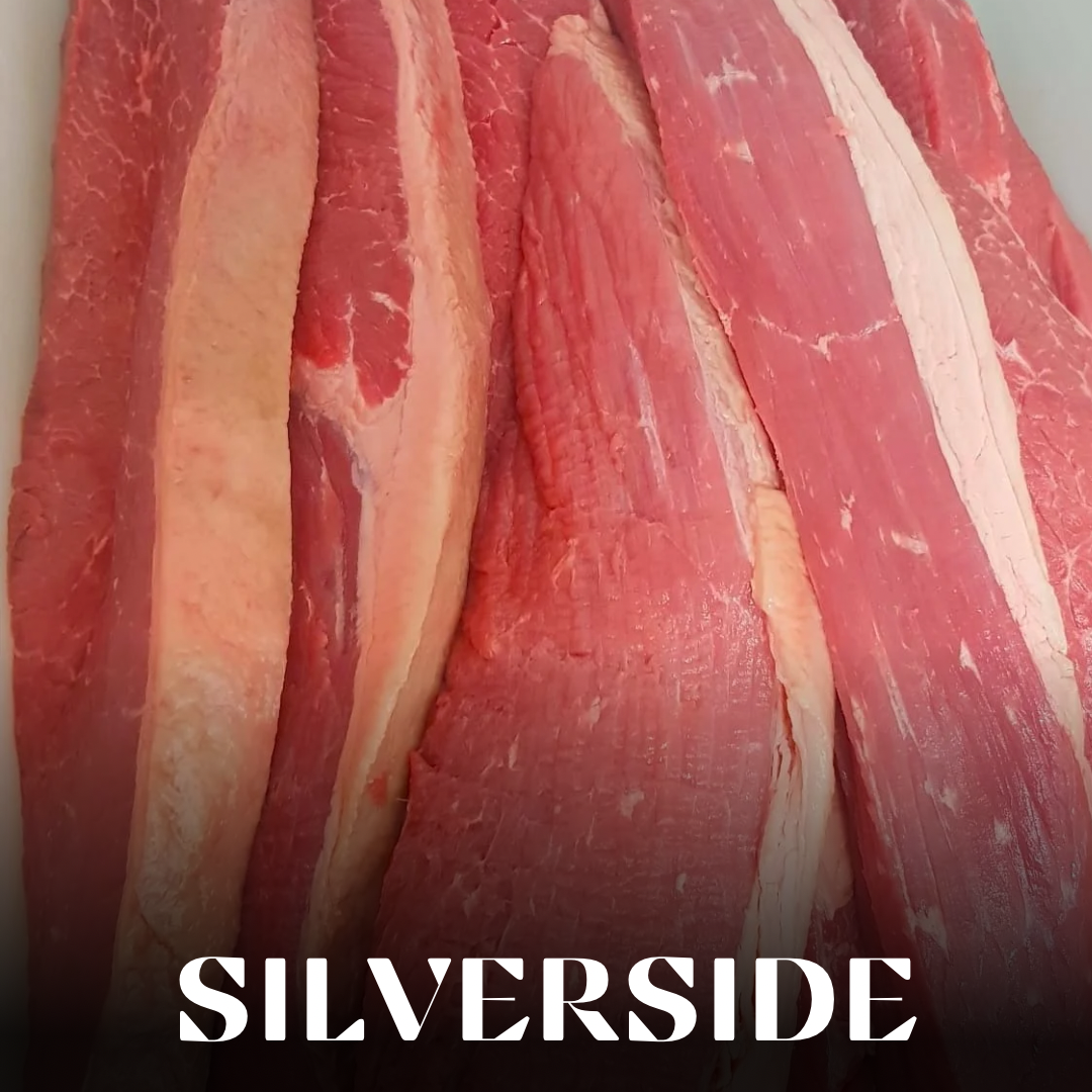 Silverside